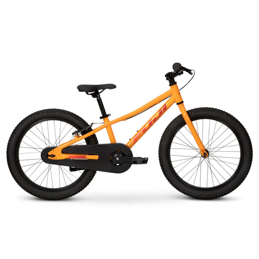 Fuji Dynamite 20" Coaster Youth Bicycle