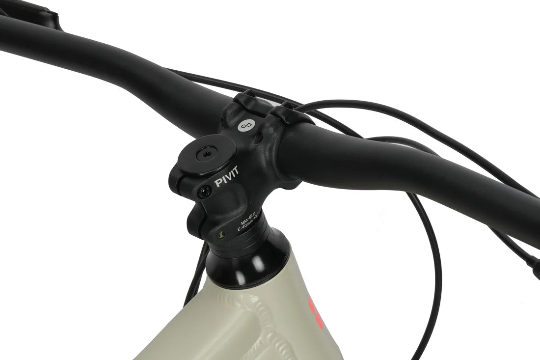Haro Double Peak 2 29er Hardtail Mountain Bike