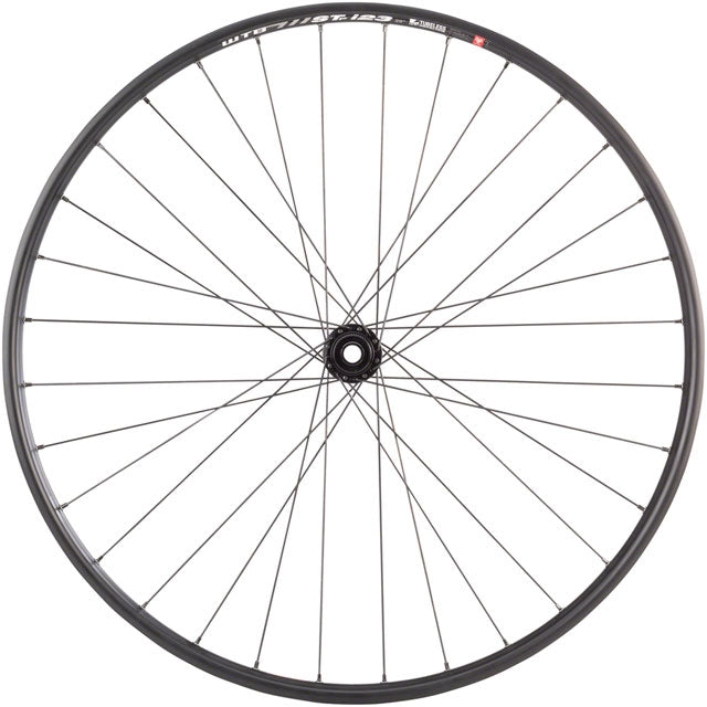 Quality Wheels WTB ST i23 TCS Disc Front Wheel - 29", 15 x 110mm Boost, Center-Lock,Black