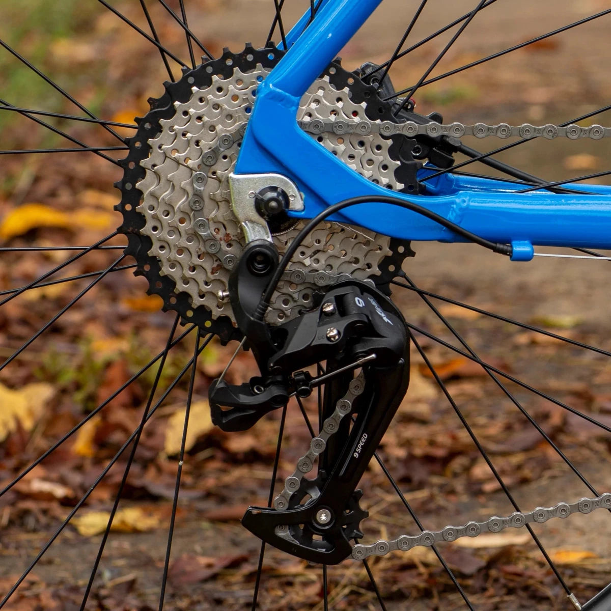 Eastern Alpaka 29" Hardtail Mountain Bike