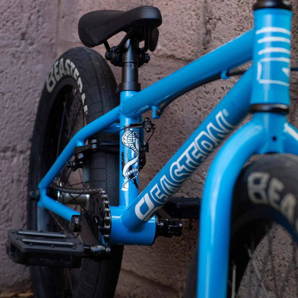 Eastern Cobra 20" BMX Bicycle