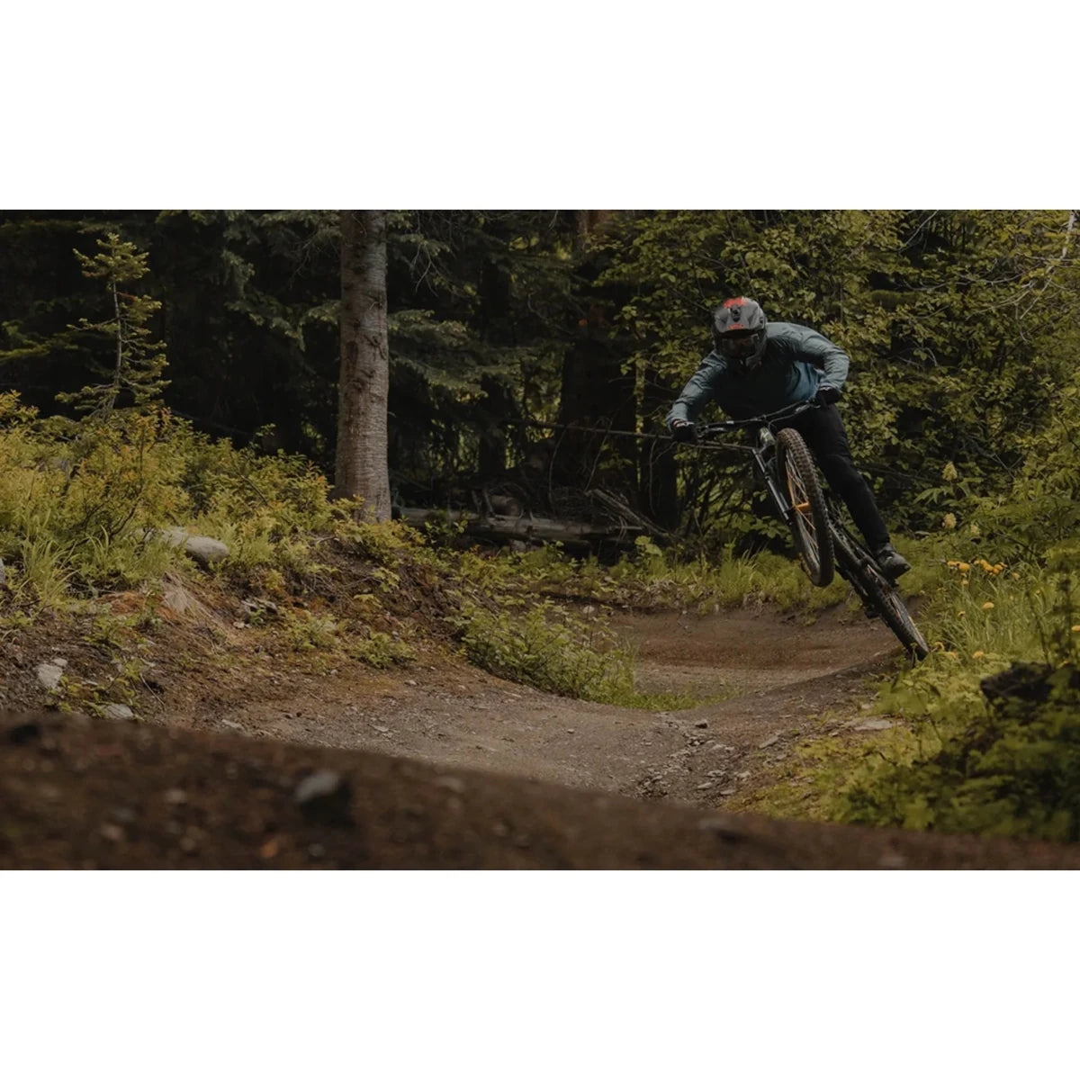 Norco Shore A Park Zeb - 27.5 Dual Suspension Mountain Bike