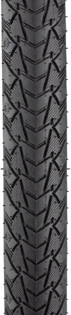 Continental Contact Plus Tire - 700 x 37, Clincher, Wire, Black - Alaska Bicycle Center