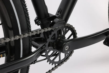 Haro Beasley Two 29" Hybrid / Adventure Bike