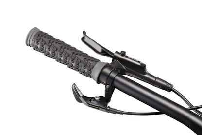 Haro Double Peak Hardtail Mountain Bike