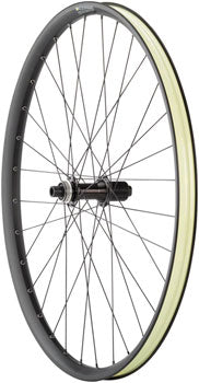 Quality Wheels MTB Ebike Alex EM30 Disc Rear Wheel - 29", 12 x 148mm Boost, Center-Lock, HG 11, Black