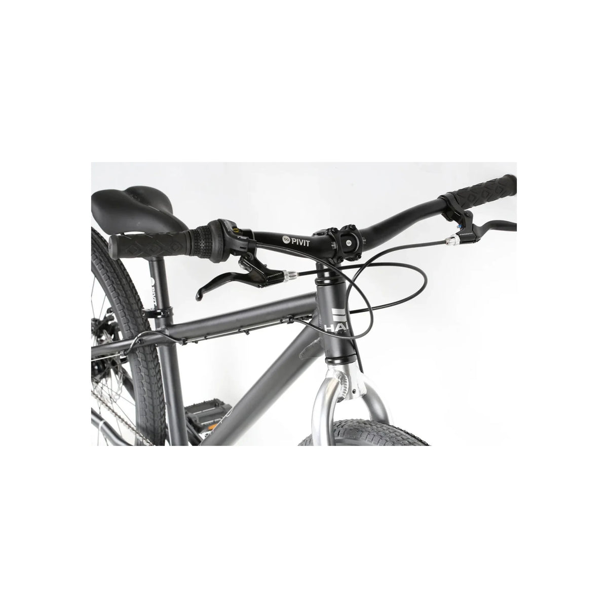 Haro Beasley 24 Recreational Bicycle (24" Bicycle) – close-up detail