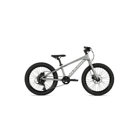 Haro Flightline 20 Plus Disc Bicycle (20" Bicycle) – close-up detail