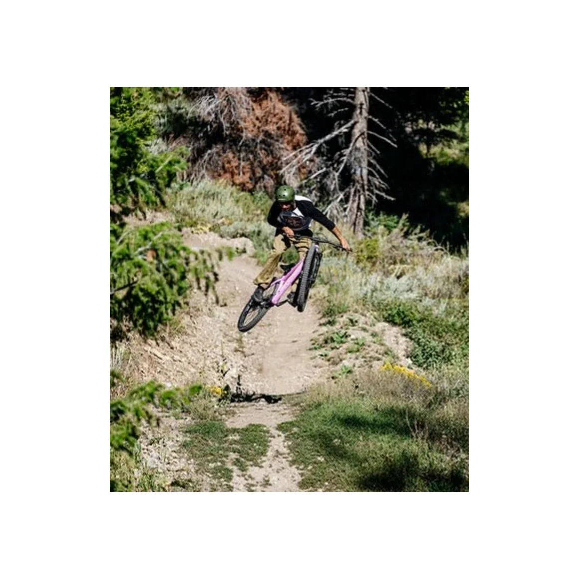 Haro Saguaro 3 Hardtail Trail Mountain Bicycle (Hardtail Mountain Bike) – studio photo
