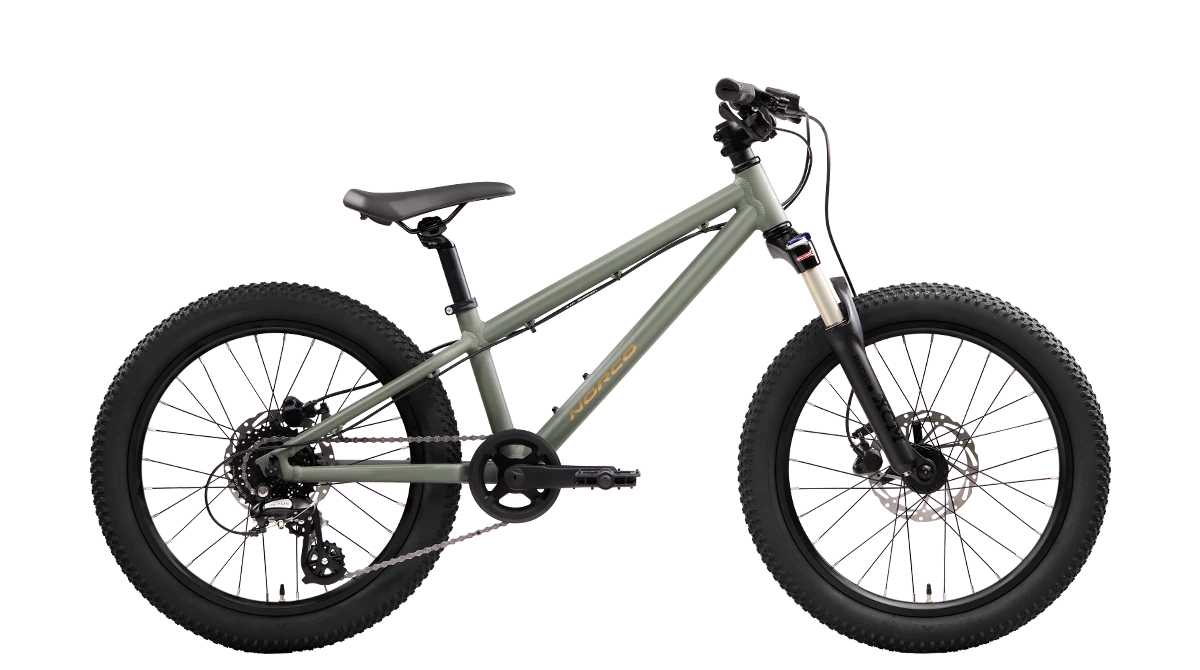 Norco Charger 20 Youth Mountain Bike