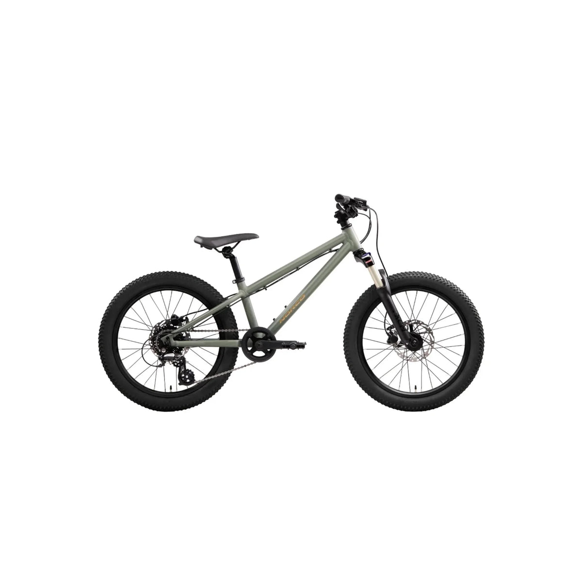 Norco Charger 20 Youth Mountain Bike (20" Bicycle) – product view