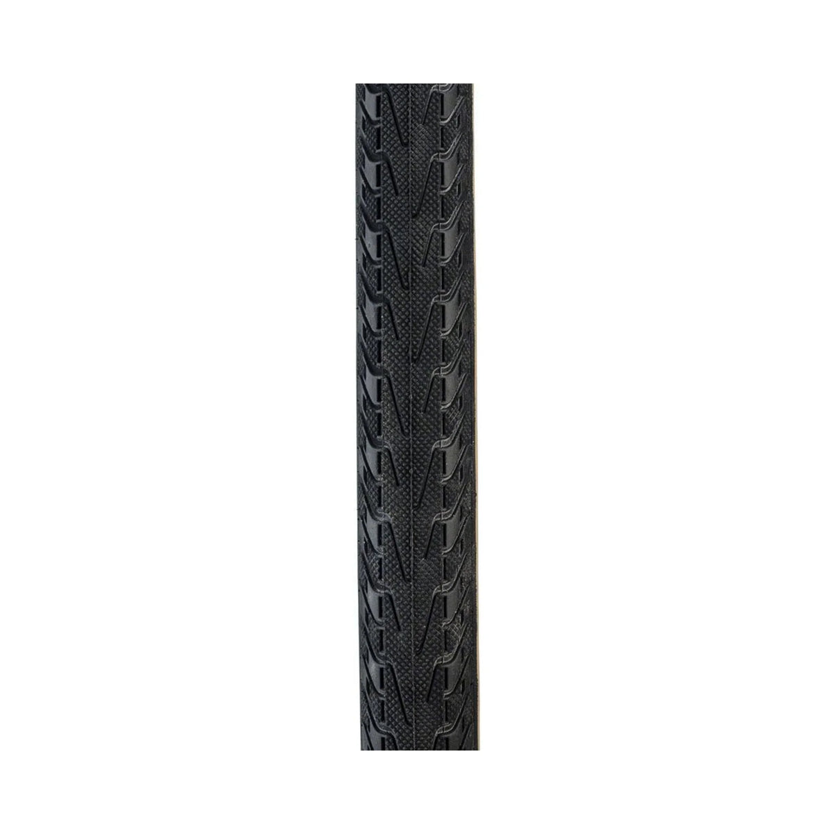 Panracer Panaracer Pasela Tire - 27 x 1-1/4, Clincher, Wire, Black/Tan, 60tpi (Bicycle Tires) – studio photo