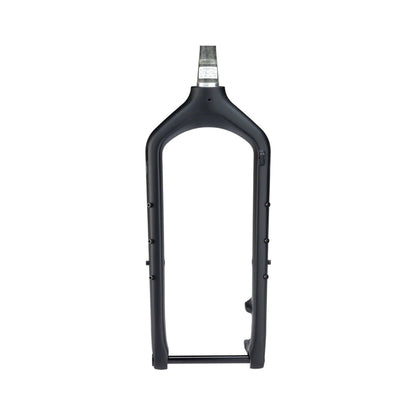 Salsa Kingpin Carbon Deluxe Fork, 15x150mm Thru-Axle, Black (Bicycle Forks) – detail angle
