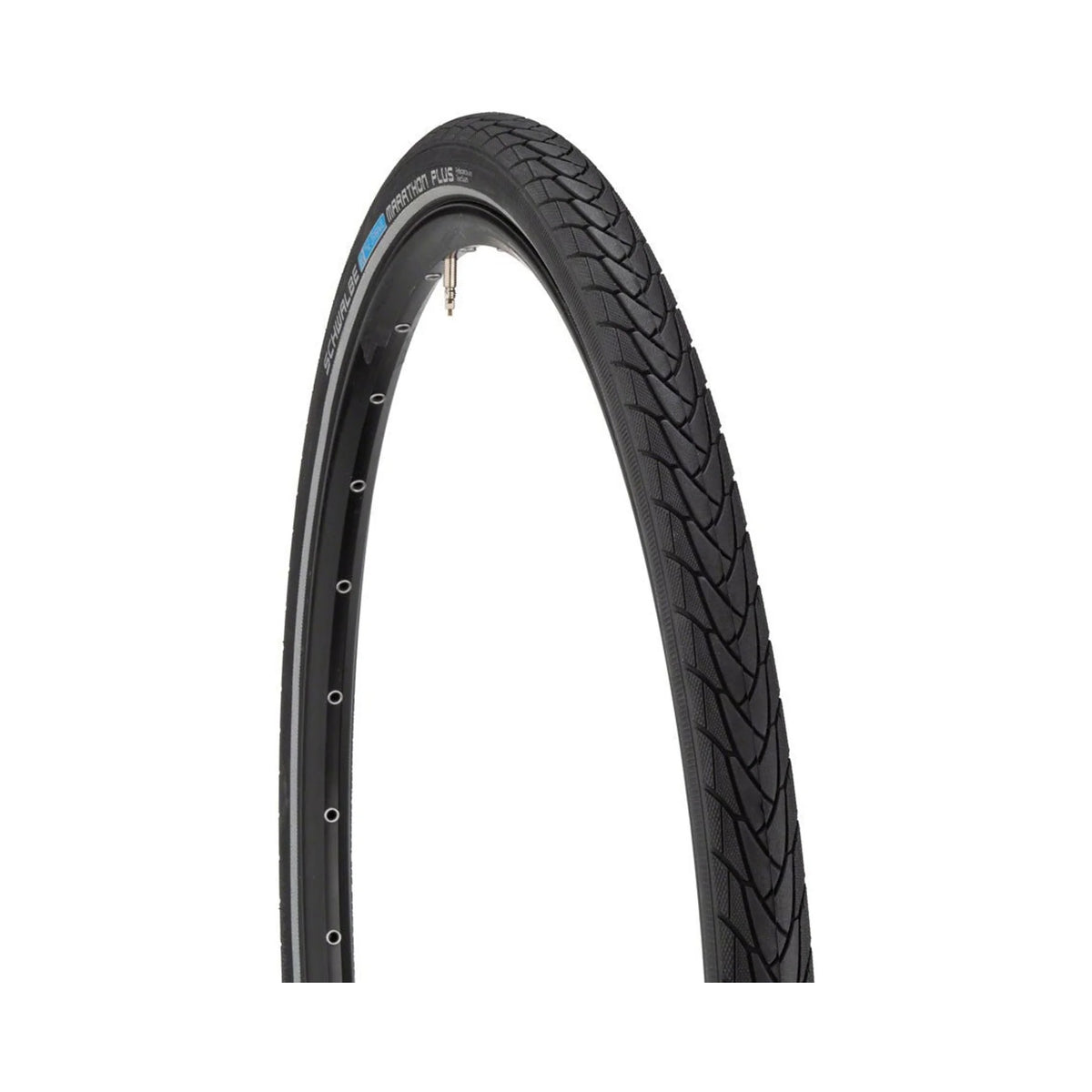 Schwalbe Marathon Plus Tire - 700 x 38, Clincher, Wire, Black/Reflective, Performance Line (Bicycle Tires) – detail angle