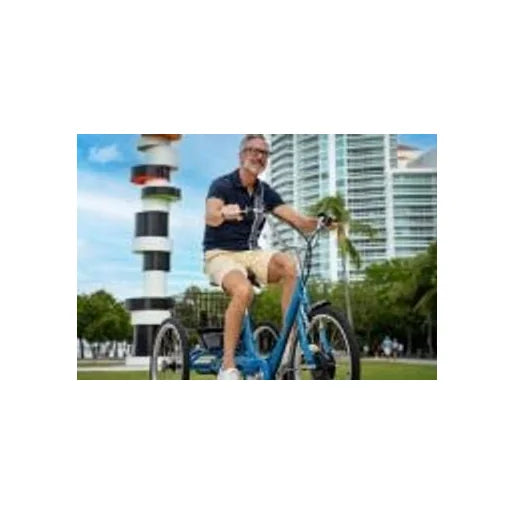 Sun E350-B1 Electric Assist Trike (Adult Trike) – detail angle (view 9 of 10)