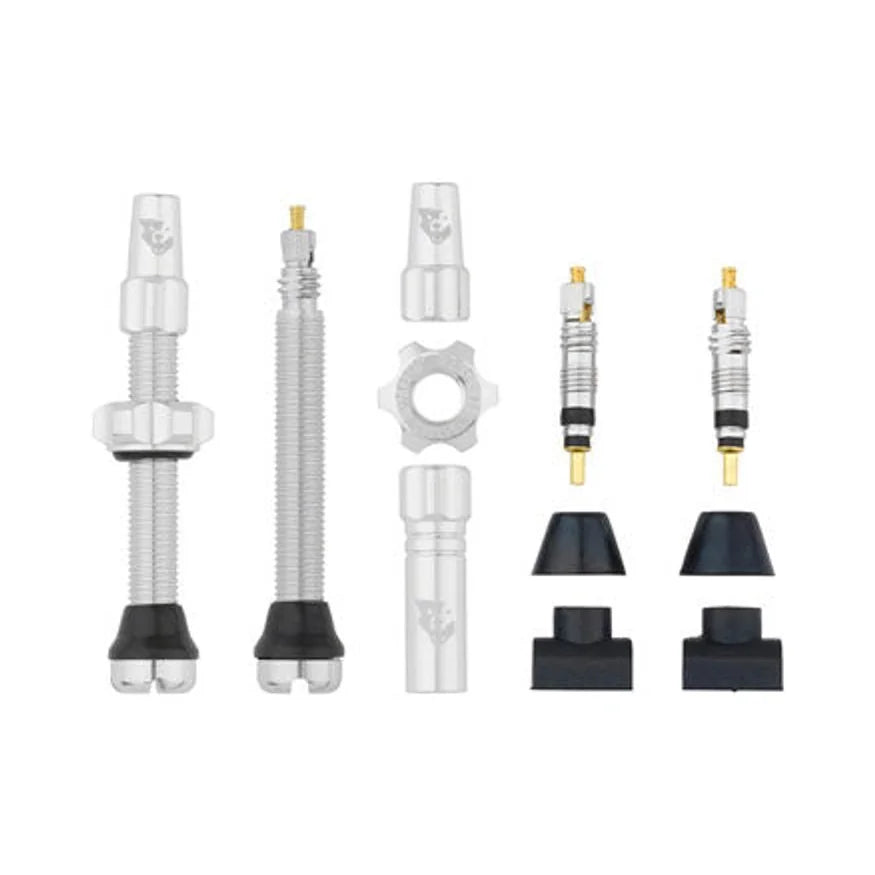 Wolf Tooth Tubeless Valve Stem Kit - 44 mm, Silver (Bicycle Tire Valves) – studio product photo