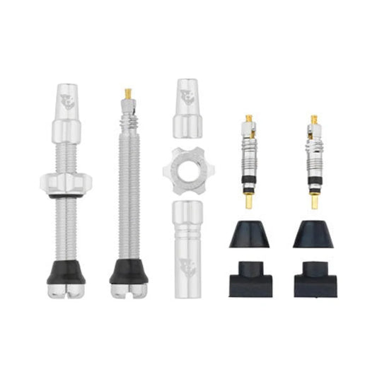 Wolf Tooth Tubeless Valve Stem Kit - 44 mm, Silver (Bicycle Tire Valves) – studio product photo